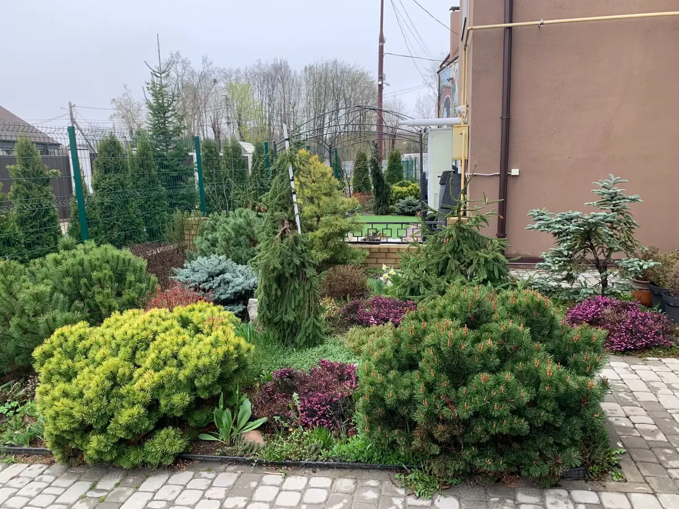 Gepflegte Rabatte mit Kiefern, Fichten und Heide