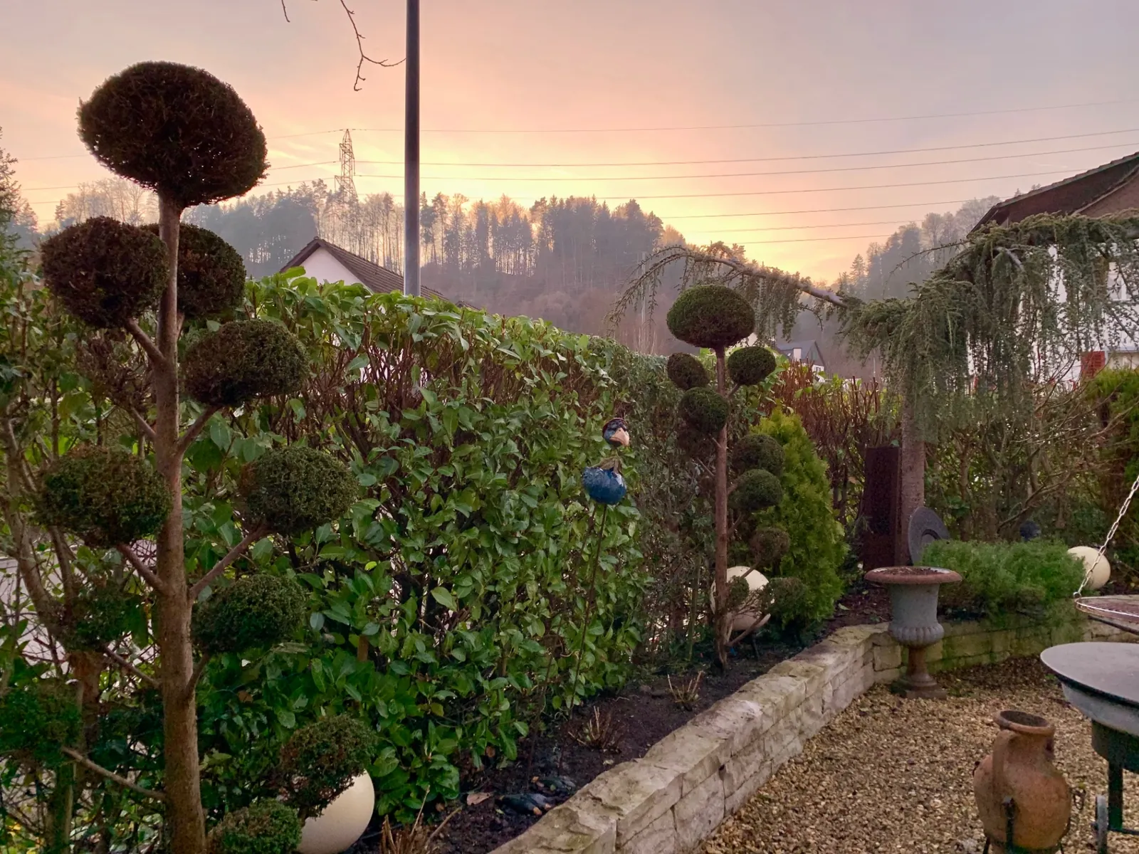 Gepflegter Garten in der Dämmerung mit Formgehölzen, Hecke und Kiesterrasse