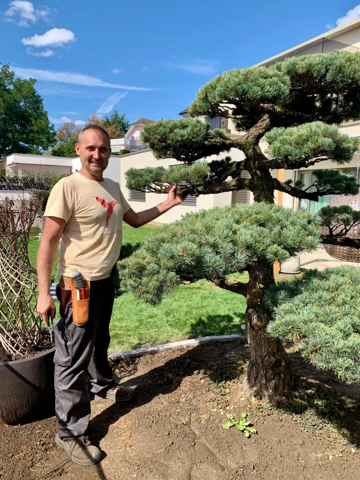 Ich neben einer Japanischen Mädchenkiefer (Pinus parviflora) nach der Formgestaltung im Garten