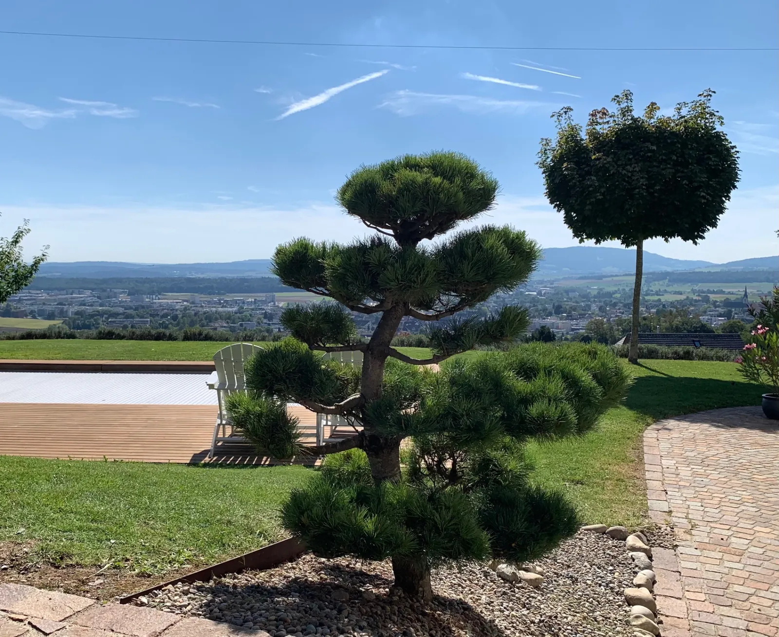 Gartenbonsai mit Weitblick über das Tal