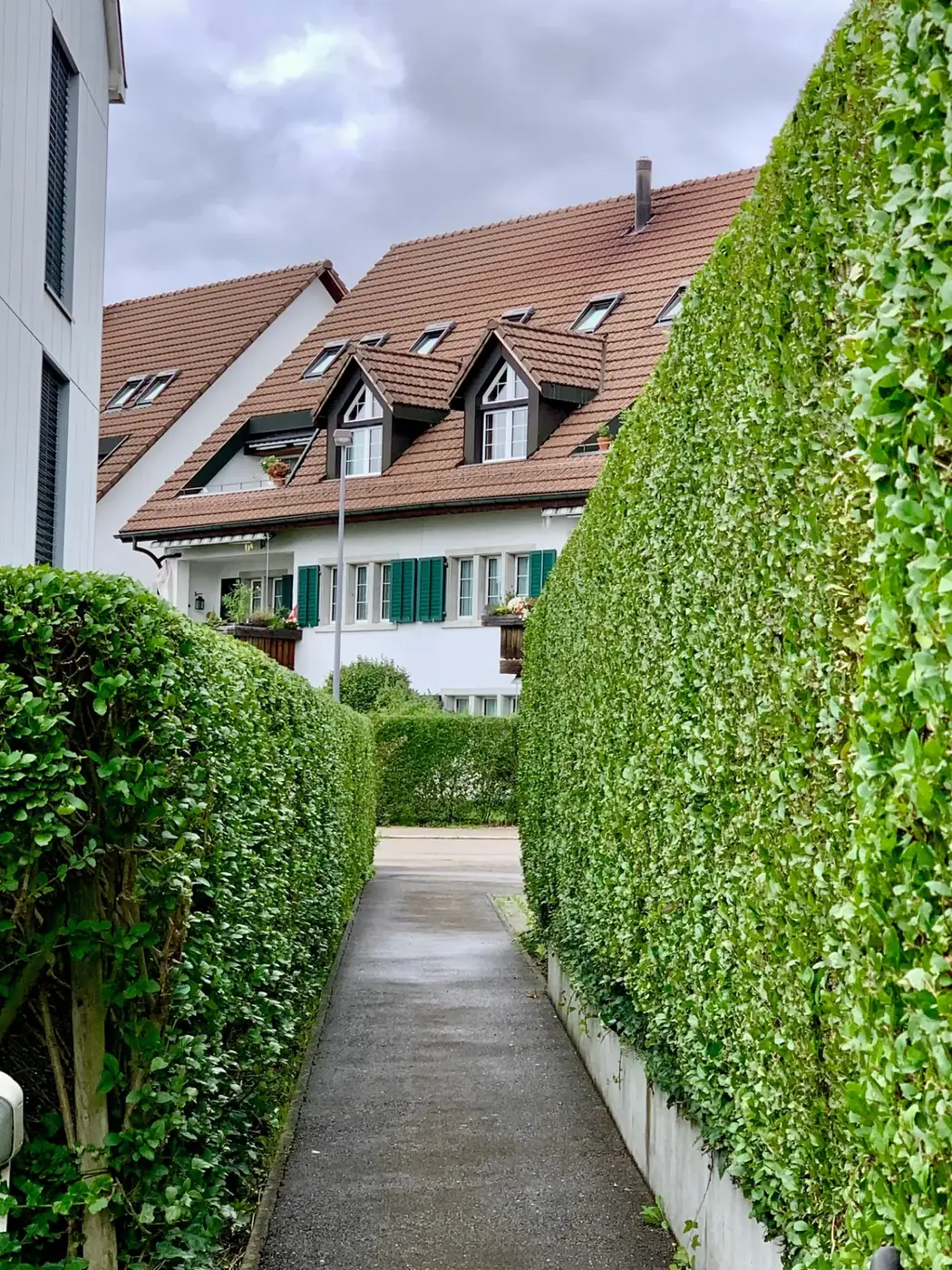 Zwei hohe, exakt in Form geschnittene Hecken bilden einen Gartenweg