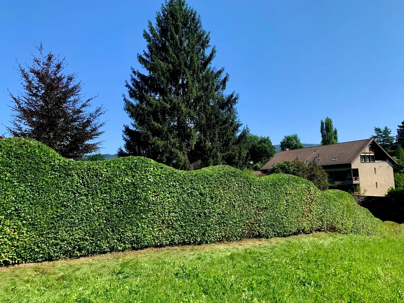 Gartenpflege
