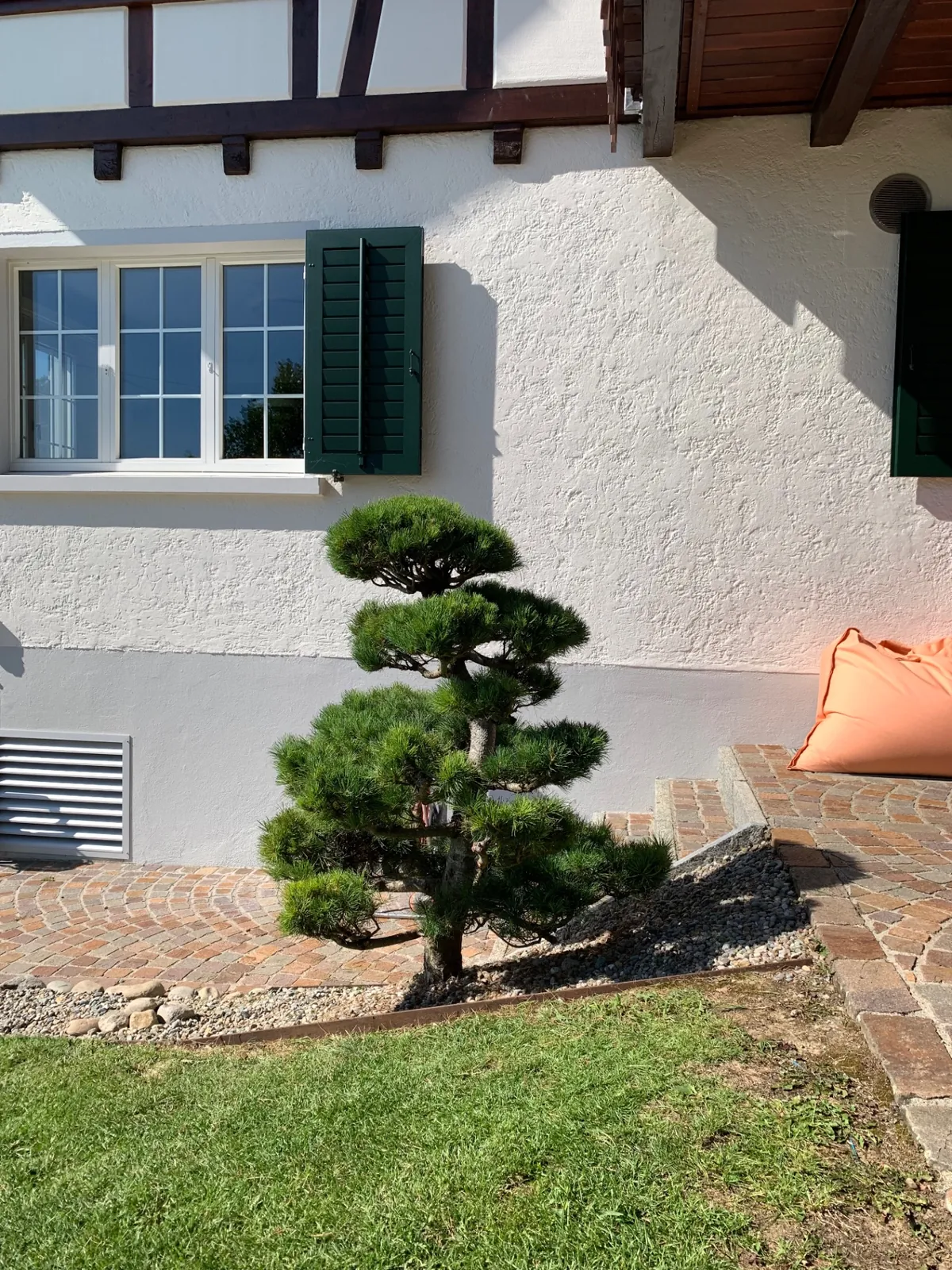 Gartenbonsai