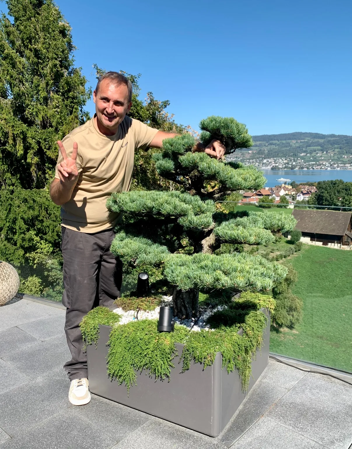 Gartenbonsai aus Pinus parviflora in Terrassenkomposition mit Seeblick Ich an einem von mir gepflegten Gartenbonsai aus Japanischer Mädchenkiefer (Pinus parviflora) in einem grossen Pflanzgefäß auf einer Terrasse mit Seeblick