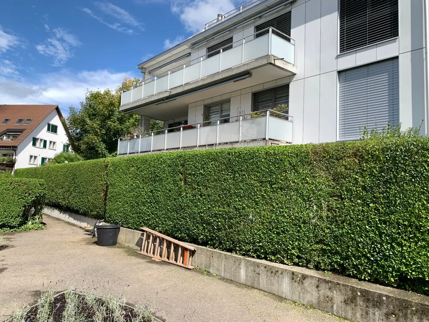 Frisch geschnittene Liguster-Hecke entlang einer Wohnüberbauung nach dem Formschnitt