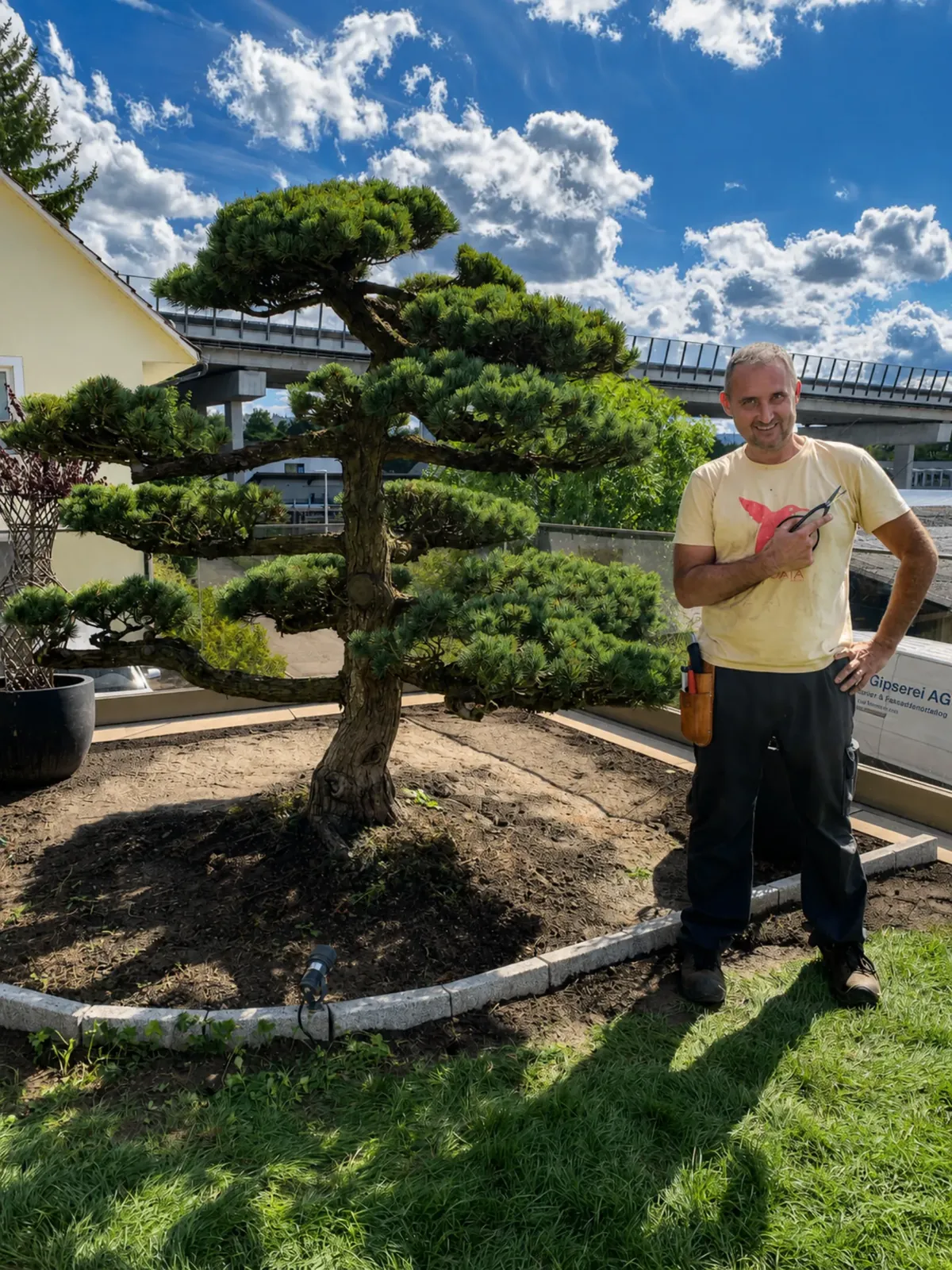 Ich mit Handschere neben einer frisch gestalteten Pinus parviflora (Gartenbonsai / Niwaki) vor einem Wohnhaus